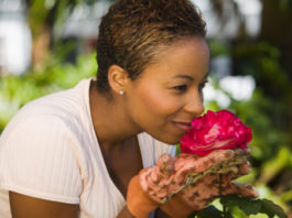 Le malattie delle rose – 2 parte 529 0 050 Le malattie delle rose 2^parte